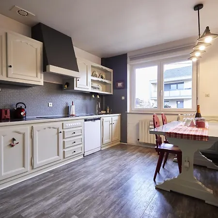 Maison 140M2 Au Calme - Beau Jardin - A 15Mn A Pied Du Centre-Ville De Colmar Exterior foto