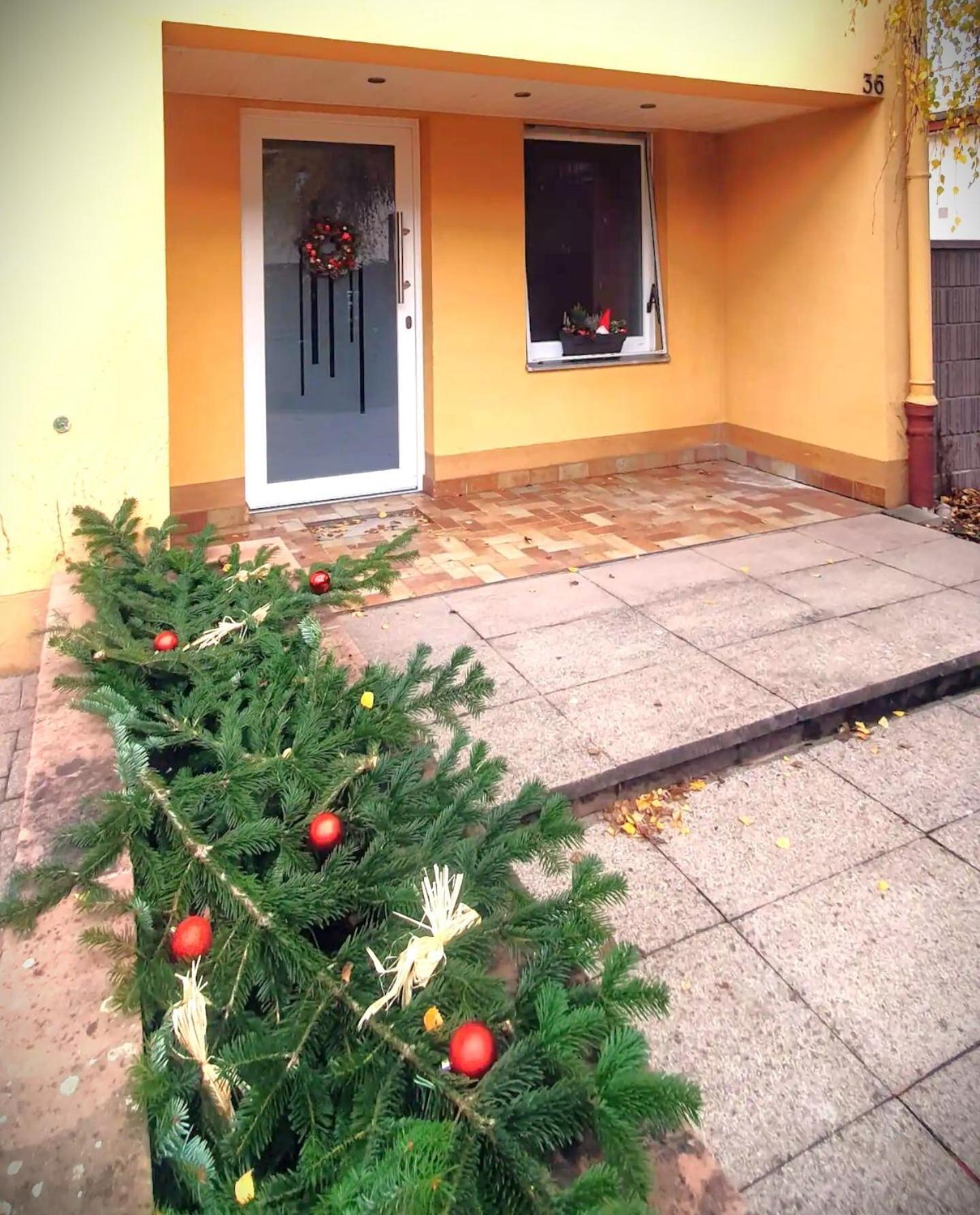 Maison 140m2 Au Calme - Beau Jardin - A 15mn A Pied Du Centre-ville De Hébergement de vacances Colmar