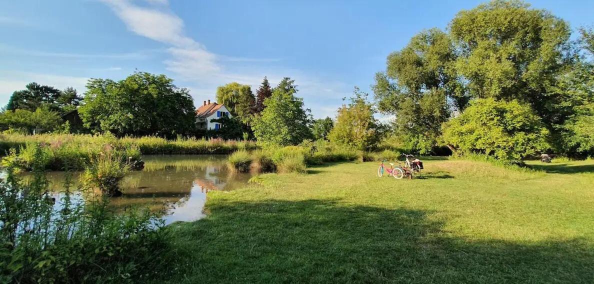 Maison 140m2 Au Calme - Beau Jardin - A 15mn A Pied Du Centre-ville De Hébergement de vacances Colmar